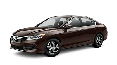 Kona Coffee Metallic